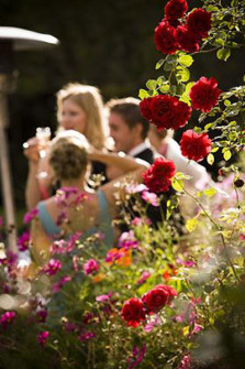 garden-view-ith-roses-at-marlfield-house-wedding-location