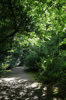 Over 40 acres of woodland and garden walks