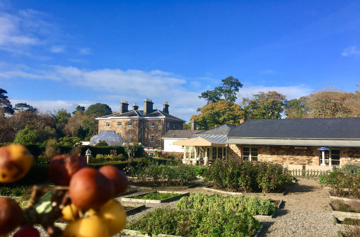 the-duck-restaurant-gardens-at-marlfield-house-gorey-wexford