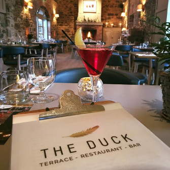 Visit The Duck!